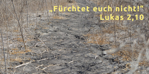 Bild der Weihnachtskarte mit dem Text "Fürchtet Euch nicht!", Lukas 2,10.